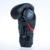 Boxerské rukavice Fighter Pro - černá, FBG-PRO-002 10 (Velikost 10)