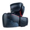 Boxerské rukavice Fighter Pro - černá, FBG-PRO-002 10 (Velikost 10)