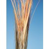 Europalms rákos, světle hnědý, umělý, 127 cm