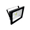 Eurolite LED IP FL-50 COB UV