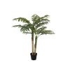 Palma Areca, 2 kmeny, 120 cm