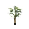 Palma Areca, 3 kmeny, 150 cm