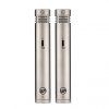 WARM041%2FWA 84 Stereo Pair Nickel Front View 300 DPI