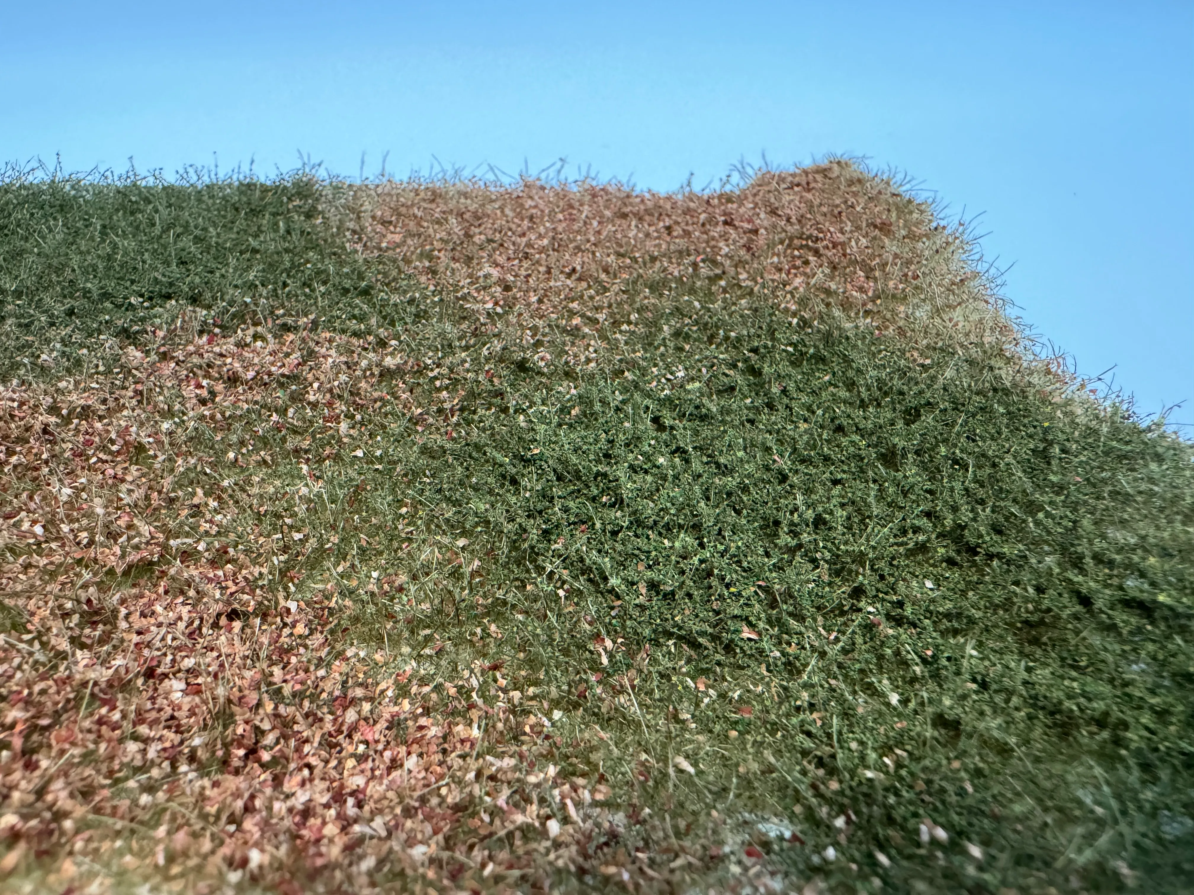 detail