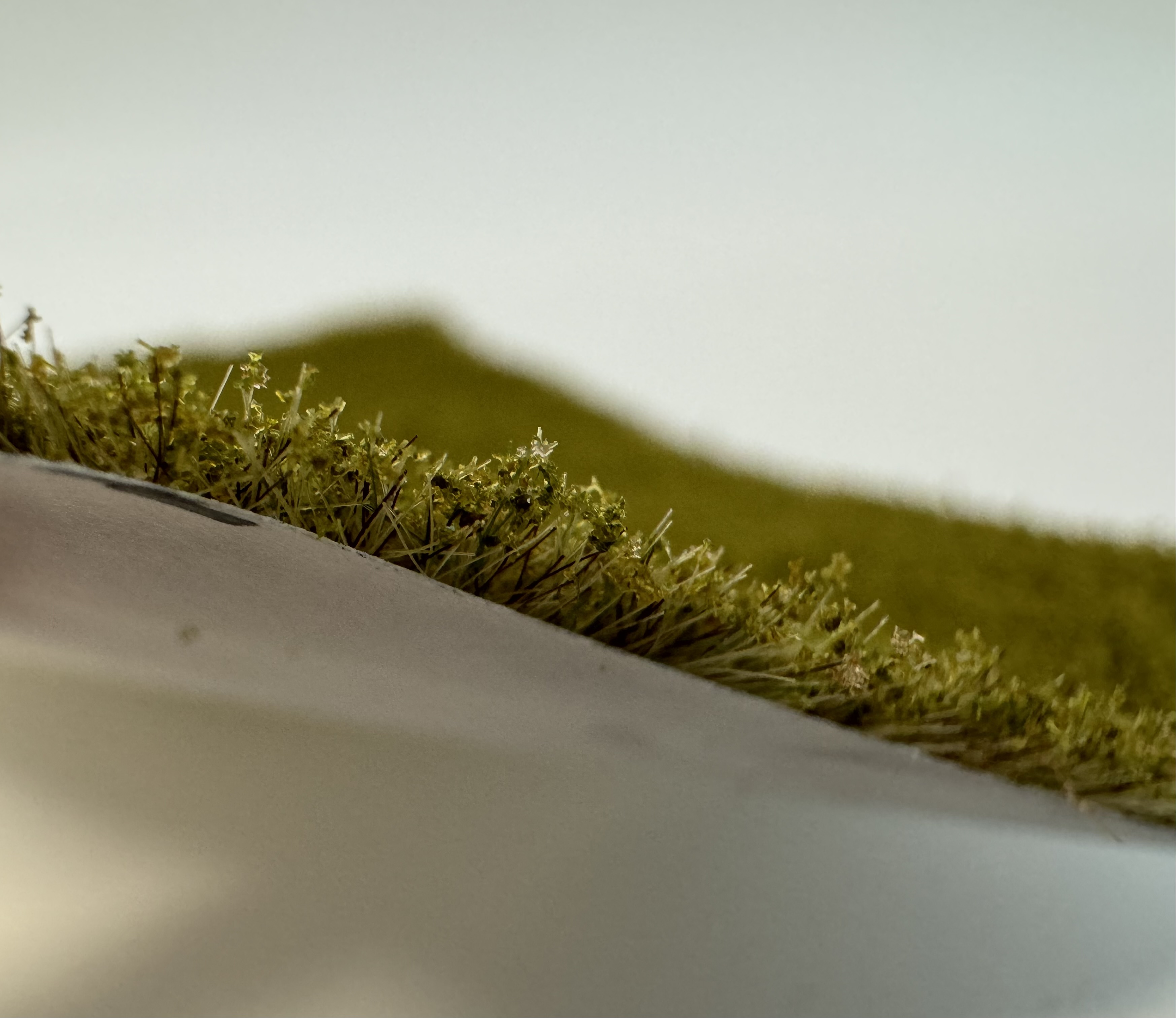 Trávny porast s posypom 4,5mm - neskorá jar 16x10,5cm