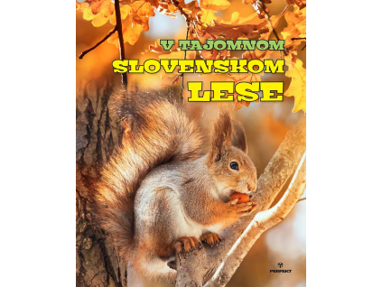 vyr 7961Kniha V tajomnom slovenskom lese