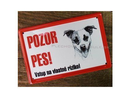 vyr 3928SKR 3010 Jack Russel