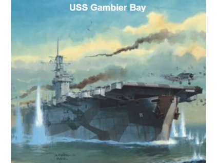 vyr 8866USS Gambier Bay 11zon