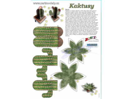 kaktusy