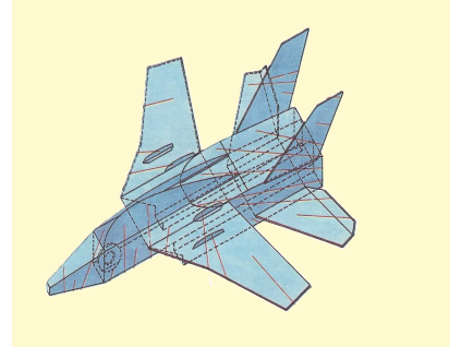 vyr 6319Grumman F14 Tomcat 1