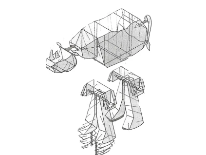 vyr 6428Nosorozec Doran 2
