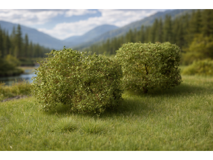 ChatGPT Image 21. 12. 2025, 18 28 47