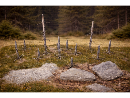 ChatGPT Image 21. 12. 2025, 07 20 53