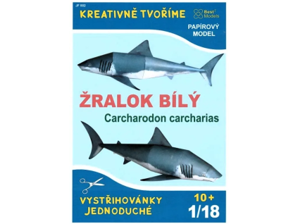 vyr 7666Zralok biely Carcharodon carcharias