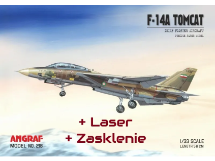 vyr 7782F 14A Tomcat IRIAF Laser zasklenie 2