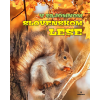 vyr 7961Kniha V tajomnom slovenskom lese