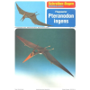 vyr 8567Vtakojaster Pteranodon ingens