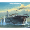 vyr 8866USS Gambier Bay 11zon