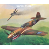 vyr 8897Curtiss P 40E 11zon