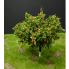 vyrp11 6735STR 03 06 1