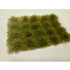 vyr 682404 37 Kriky neskore leto 1cm 20ks 2