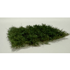 vyr 682604 34 Kriky zelene listie 1 5cm 20ks 2