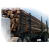vyrp13 3685ob navest04