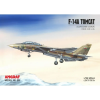 vyrp11 7782F 14A Tomcat IRIAF Laser zasklenie 1
