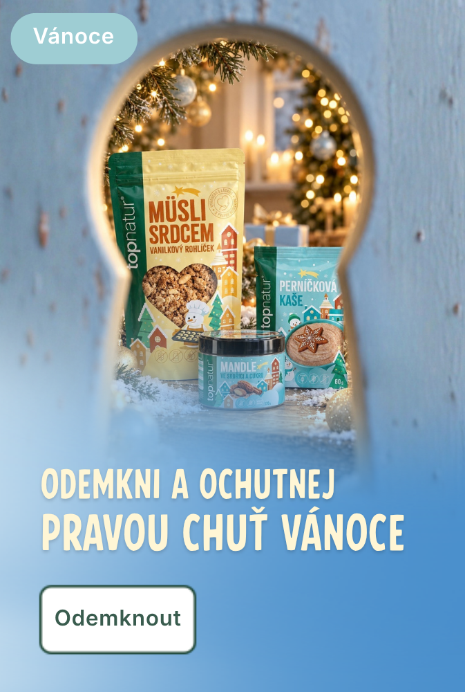 Vánoce 2026 - mobil