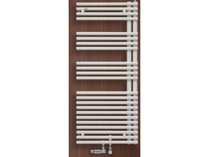 zehnder form asym leva