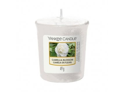 camellia blossom