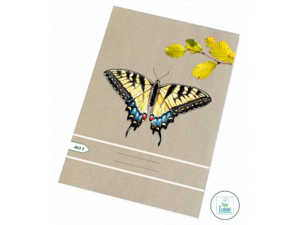 917bb0e4b9fa46a3d50adc51ae16ff7c 465 e 8bb048a15385fcb008233687a9c33442