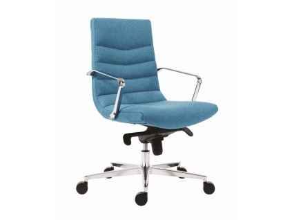 7650 Shiny Executive (2)