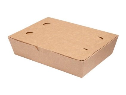 33987 lunch box 20x14x5cm op 100szt