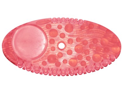 53118 remind air curve kiwi grapefruit