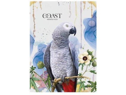 Sešit "My own coast", mix motivů, linkovaný, A4, 48 listů, SHKOLYARYK