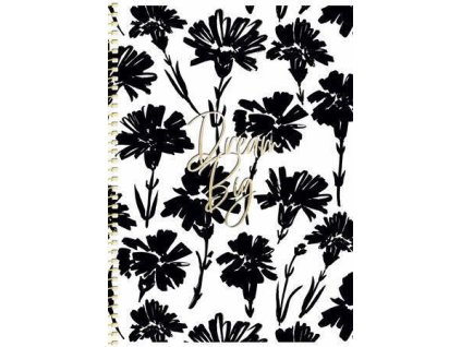 Spirálový sešit "XXX" mix motivů, čtverečkovaný, B5, 80 listů, SHKOLYARYK B5-SC-080-6084K