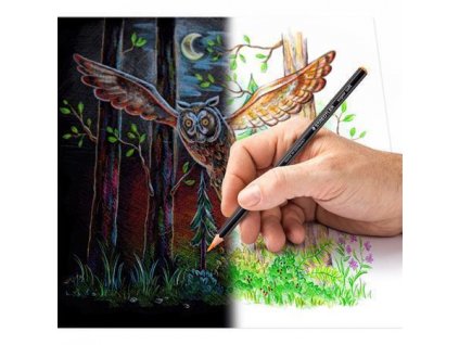 41DFA339 5497 4097 BBDF 0A9C3AE7EB01 TS149CC24 1