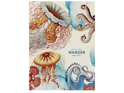 Sešit "Wander", linkovaný, mix, A4, 48 listů, SHKOLYARYK A4-080-5081L