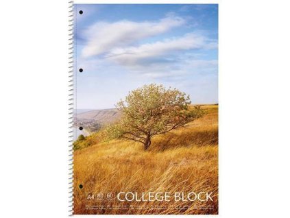 Spirálový sešit "College-block", čtverečkovaný, mix, A4, 80 listů, SHKOLYARYK A4-CC-080-6603K