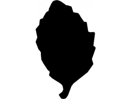 443CAE9F 60FD 4EDC B064 7CFAD3A2AA49 HPRLY359 1