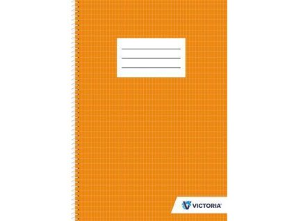 DE8B6A9A A79C 4CB4 8732 3E46EBFD233A ISVFS70F