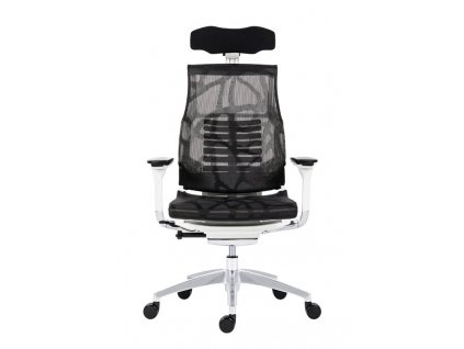 POFIT WHITE FRAME PF AW HAM ZB2 001