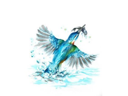 C01A8D27 FA74 4E1D BF6E C85F72700900 TS3001TB36 5