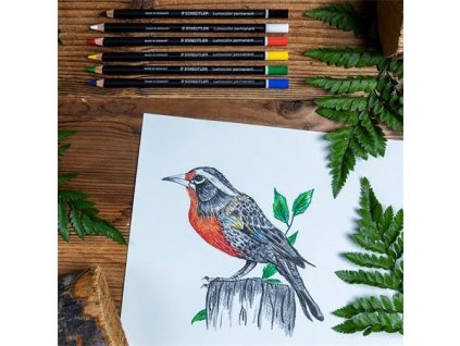 9DE5DCDF 47FE 41AF 8B05 CA586B87482D TS10820BK6C 1