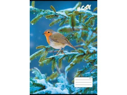 Sešit "Birds", mix motivů, A4, linkovaný, 32 listů, COOL BY VICTORIA