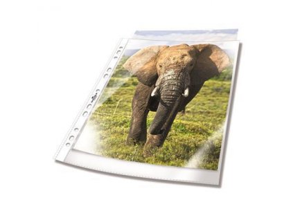 A83C8023 EF9D 4778 9096 099BD8BB65A5 DB267219 1