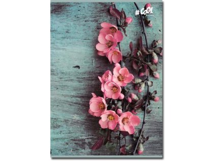 Sešit "Vintage flower", mix motivů, A5, čtverečkovaný, 96 listů, COOL BY VICTORIA ISVFC37