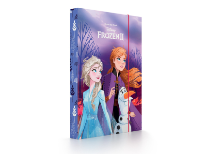 Box na sešity A5 Frozen