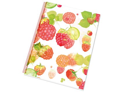 0a58cee9fac7e517f29f2ad1c5adcfd6 a4 linka 1 31addf9e6aa61e10fb14a315532169f2